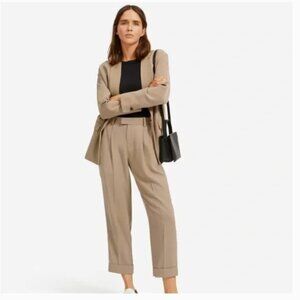 Everlane Put-Together Pleat Pant - Clay